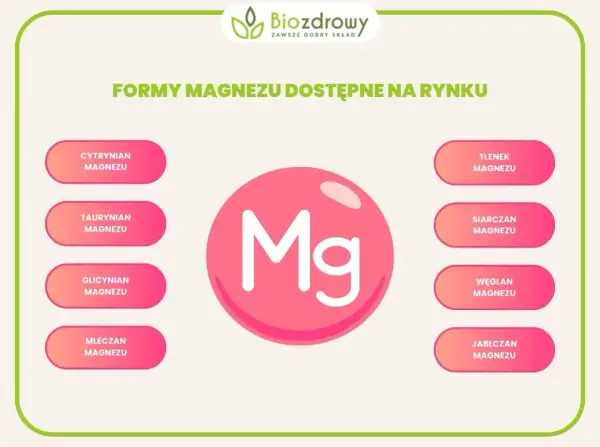Taurynian magnezu to jedna z form magnezu dostępnych na rynku, obok cytrynianu, glicynianu, mleczanu, tlenku, siarczanu, węglanu i jabłczanu.